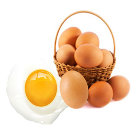 تخم مرغ منبع کامل پروتئین
