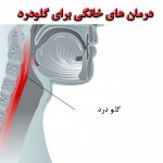 درمان های خانگی برای گلودرد